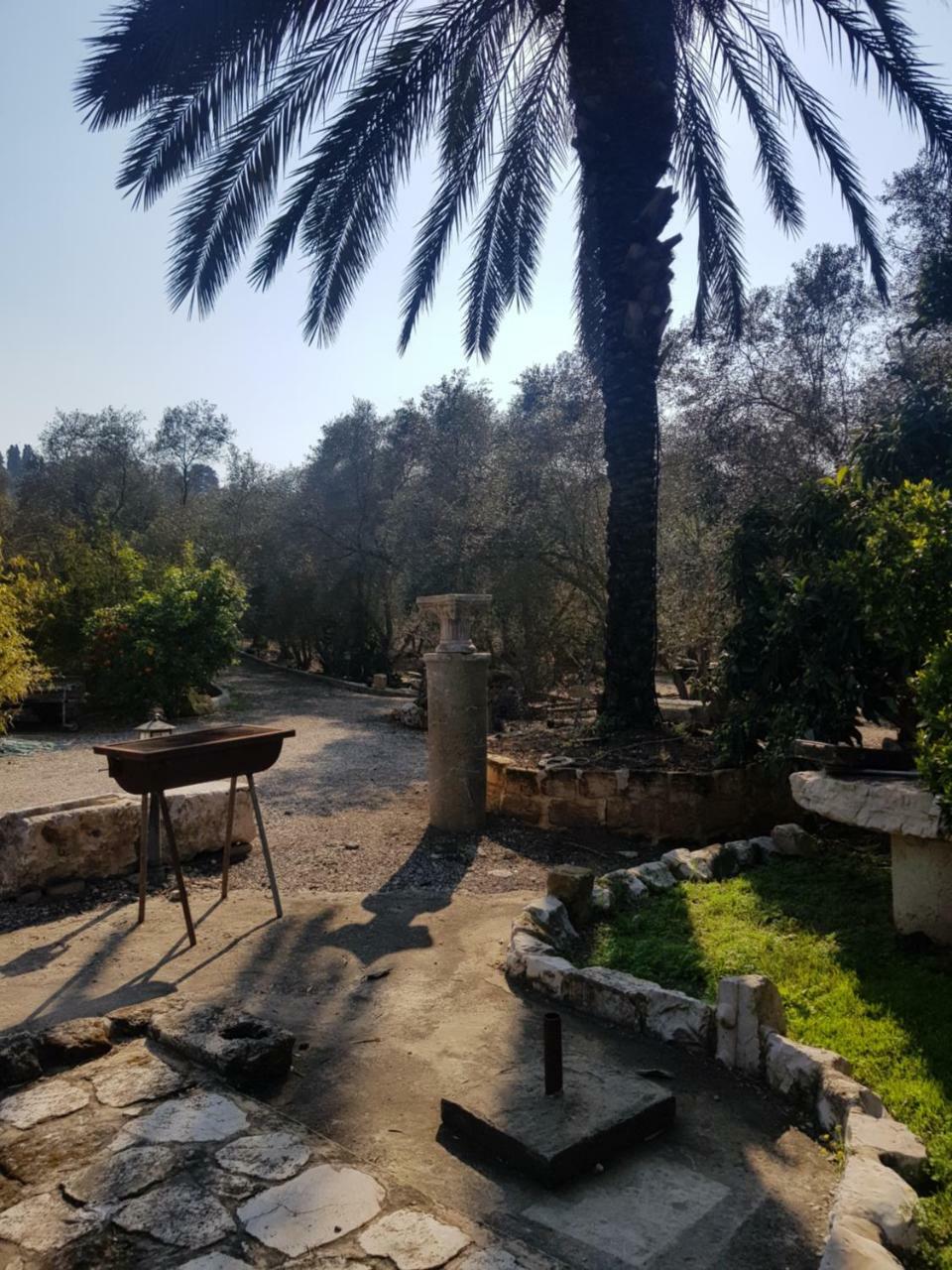 הוילה Tsipori מקום לחלום מראה חיצוני תמונה